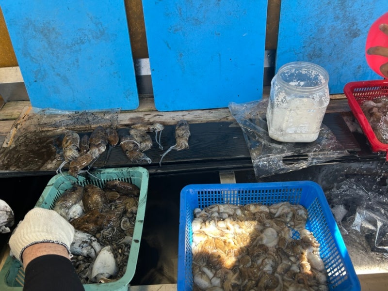 배낚시 ㅣ 쭈꾸미 갑오징어, 숙박, 숯불 바베큐 패키지, 태안 안면도
