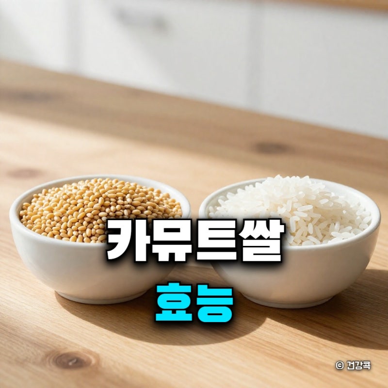 카뮤트쌀 효능, 호라산밀과 무엇이 다를까?