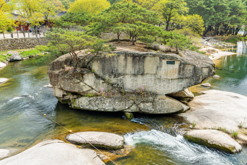 거창 수승대 출렁다리 거북바위 보고 가세요. 경남 거창 가볼만한곳