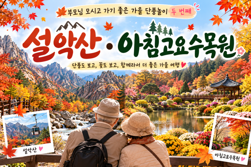 부모님 모시고 가기 좋은 가을 단풍놀이 두 번째, 설악산·아침고요수목원으로 가봤어요