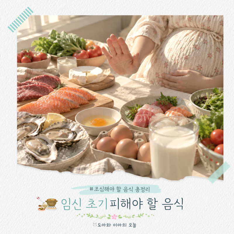 임신 초기 피해야 하는 음식, 임산부 회, 육회, 참치 먹어도 될까?