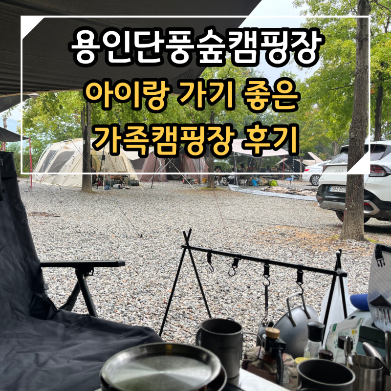 Yongin Danpungsup Campground Lion Site Review: A Great Place for Camping with Kids