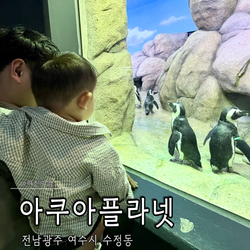 여수 아이와 가볼만한곳 아쿠아플라넷 여수 주차 매표 생태설명회 꿀팁 솔직후기