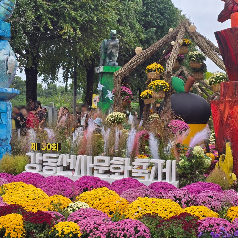 2026 강동선사문화축제 일정｜아이와 가볼만한곳 체험·먹거리·주차 팁