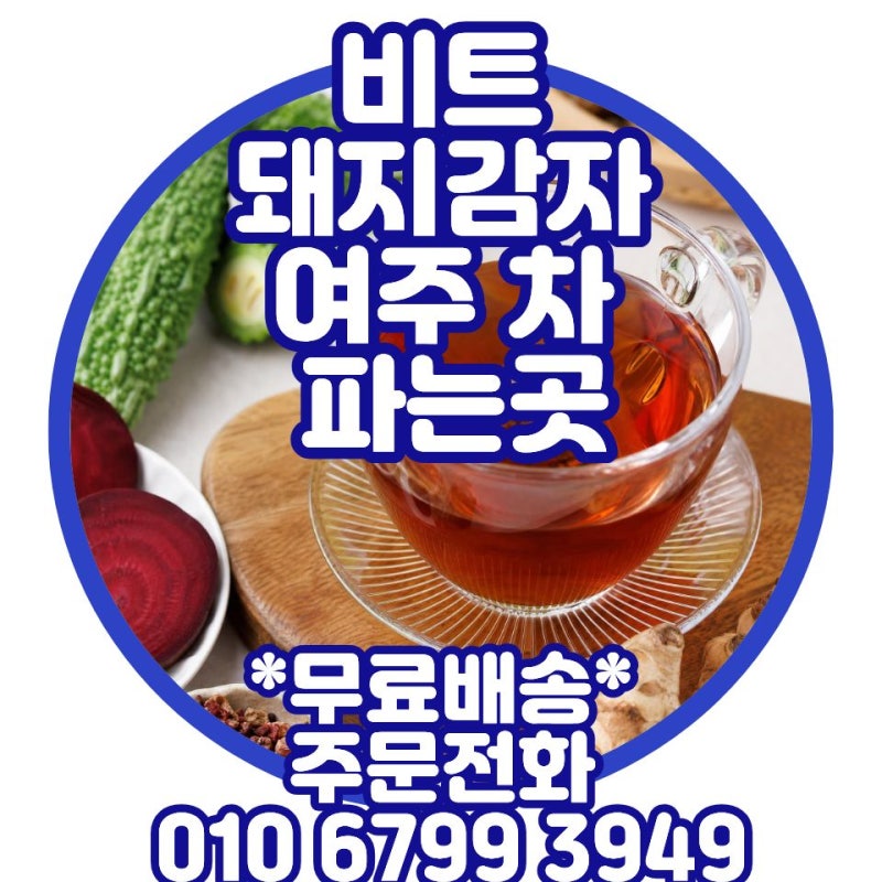 비트돼지감자차 티백으로간편하게 비트차파는곳돼지감자차 파는 곳 국산 여주차효능