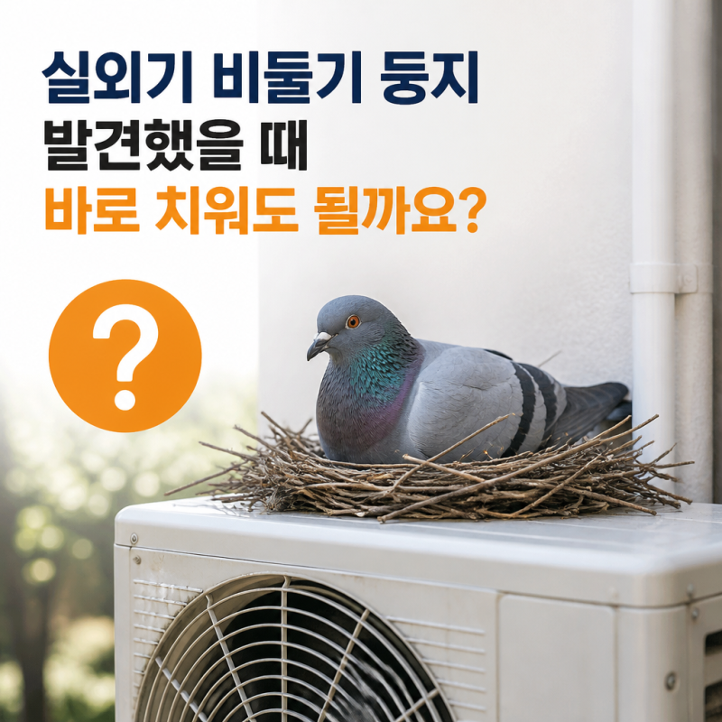 실외기 비둘기 둥지 발견했을 때 바로 치워도 될까요?