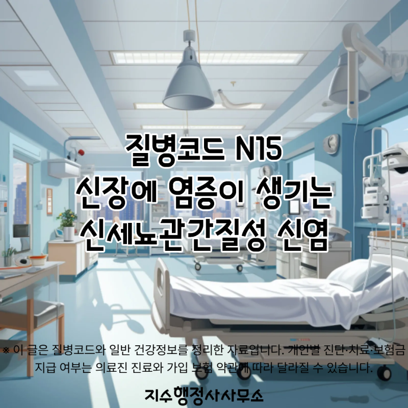 질병코드 N15란? 신장에 염증이 생기는 신세뇨관간질성 신염 알아보기