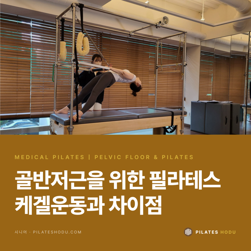 잠원동 필라테스 골반저근, 요실금이 있다면 케겔 운동과 무엇이 다를까요 | 흉곽 호흡과 수....