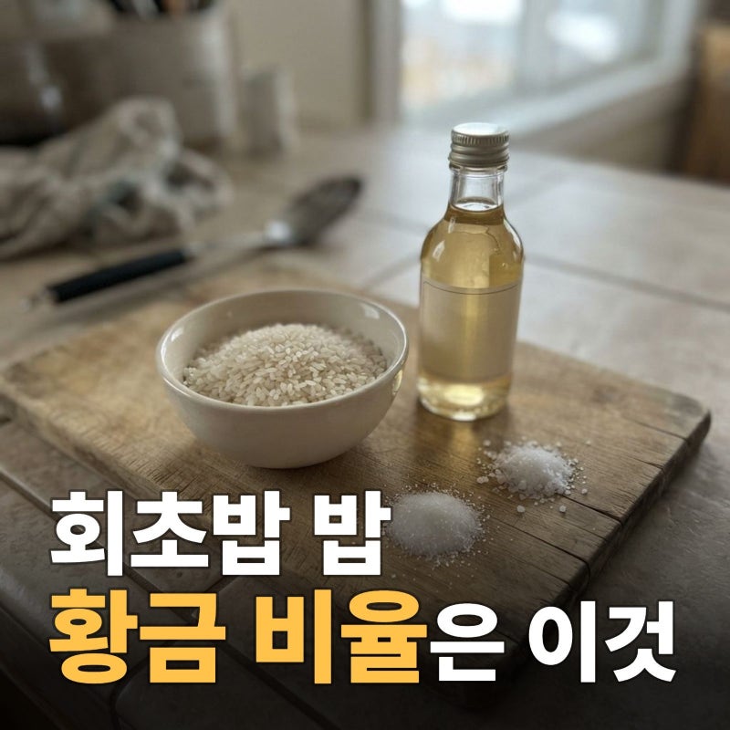 회초밥 밥 만들기 황금 비율 레시피