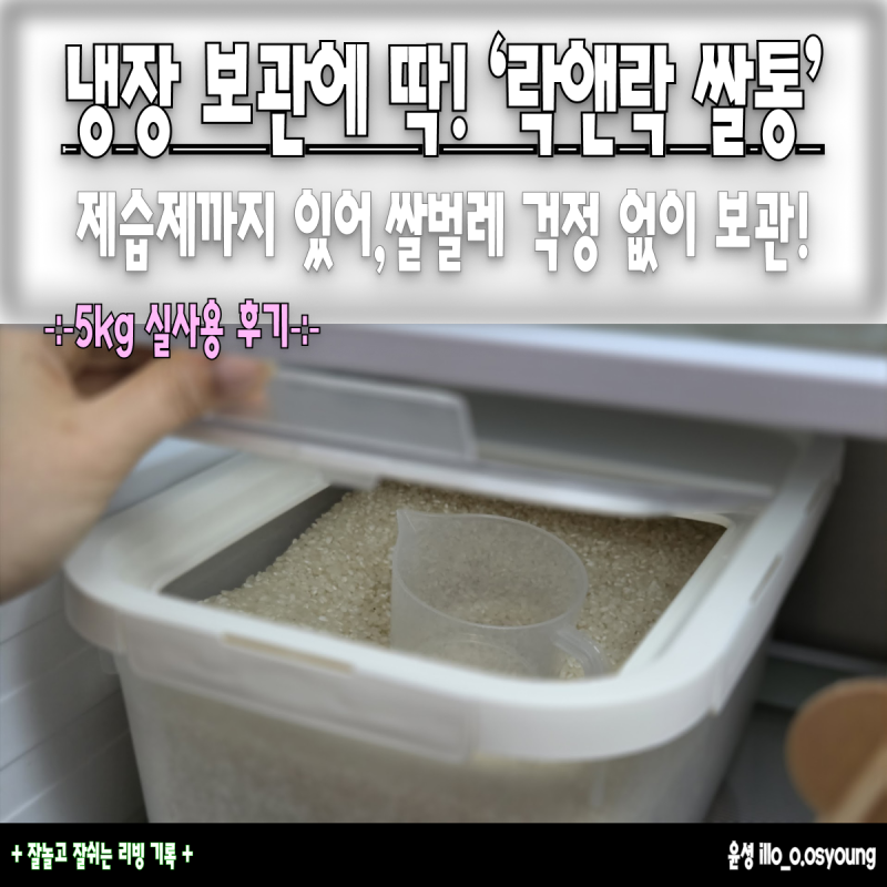 쌀벌레 걱정 완벽해결! 냉장고 쌀통 추천 락앤락 쌀통 5kg 실사용 후기