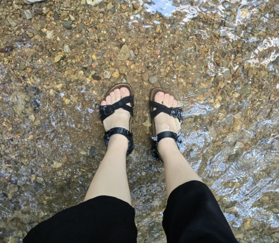 4050 부모님 갱년기 불면증 영양제 선물해 드린 후기