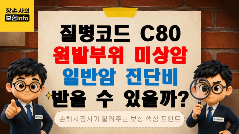 C80 원발부위 미상암, 소액암 아닌 일반암 진단비 전액 받을 수 있을까?[대구손해사정사 / 경....