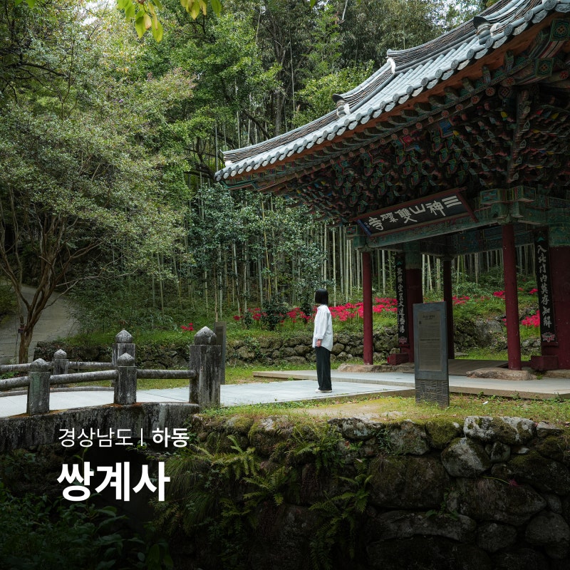 부산 근교 당일치기 하동 쌍계사 가볼만한절 경남 데이트 코스