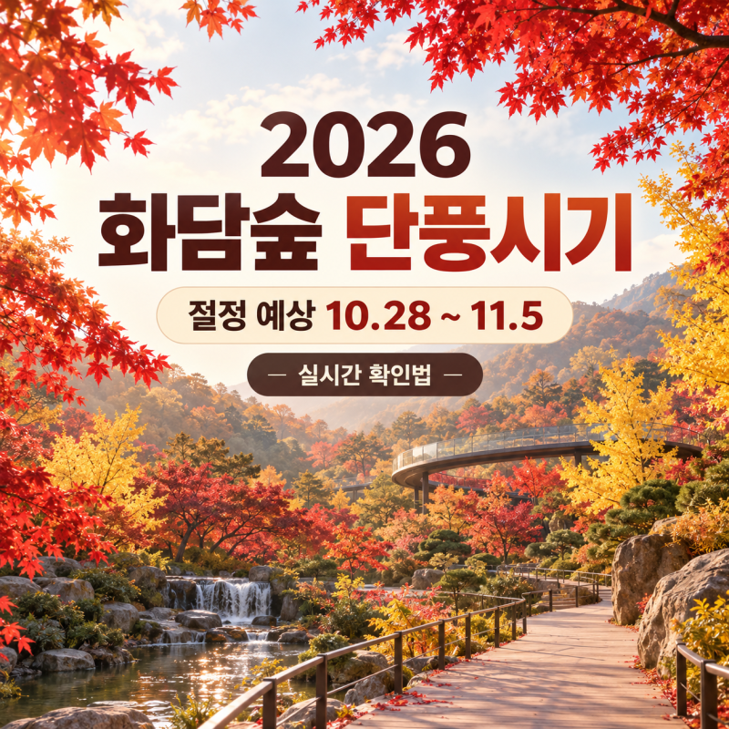 2026 화담숲 단풍시기｜절정 예상일과 실시간 확인 방법