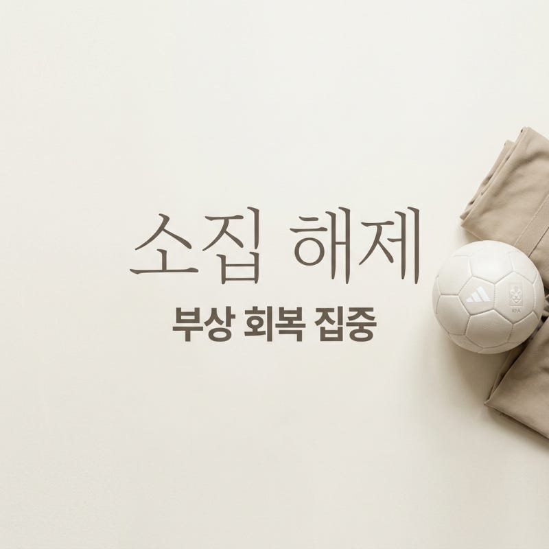 조규성 국가대표 소집 해제 이유와 잔여 일정