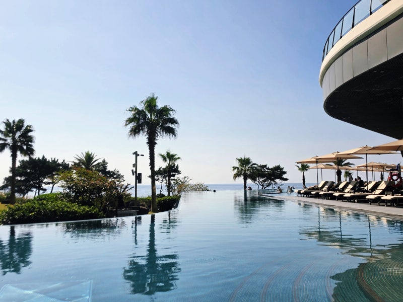 Parnas Hotel Jeju Babymoon: A 1-Night Stay Review - Two Disappointments at This 5-Star Hotel