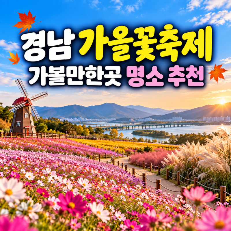 경남 가을꽃축제 가볼만한곳 명소 추천 (꽃무릇, 메밀꽃, 구절초, 핑크뮬리, 댑싸리 등)