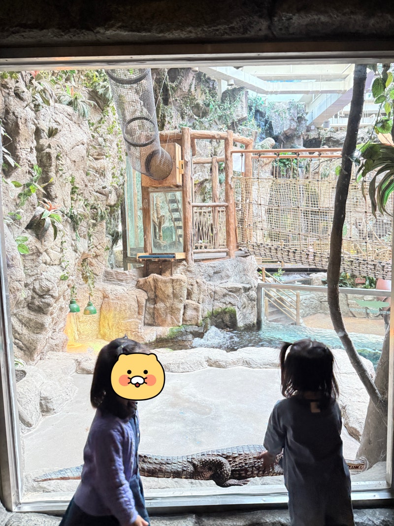 일산 아쿠아플라넷, 운영시간·주차 확인하고 아이들과 다녀온 날