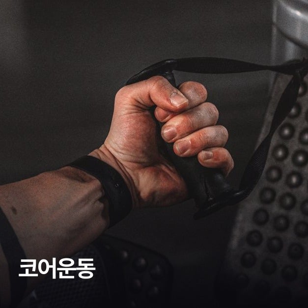 코어운동이란 플랭크 버드독 종류 방법 초보자