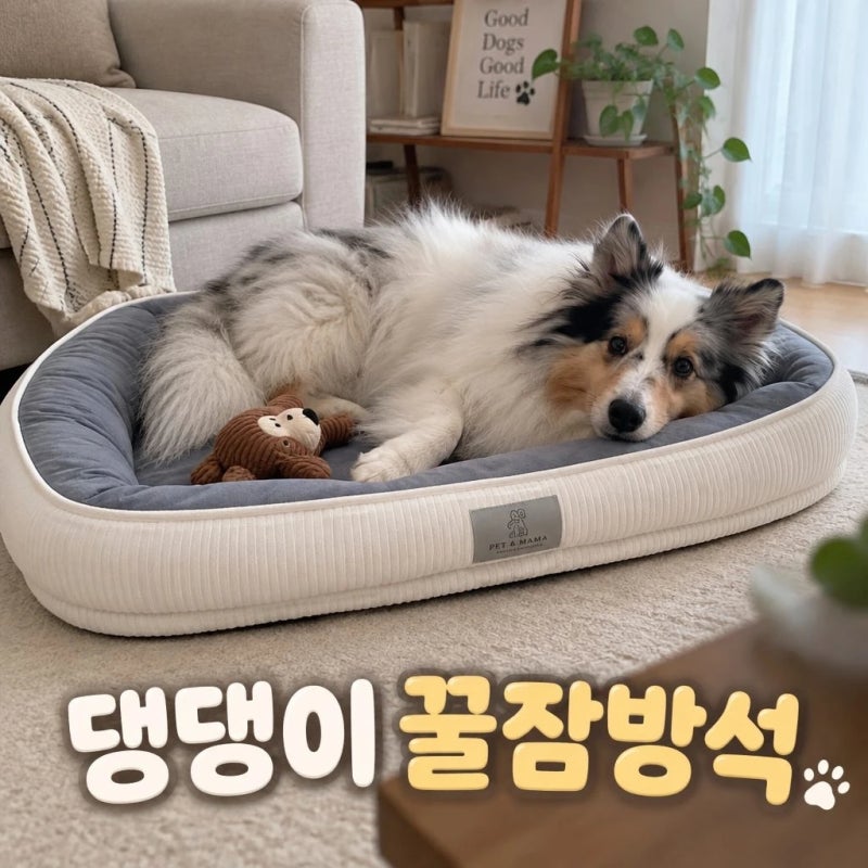 펫앤마마 강아지 방석 슬개골 보호 폼 극세사 대형견 분리세탁 마약 쿠션 L 정보 정리