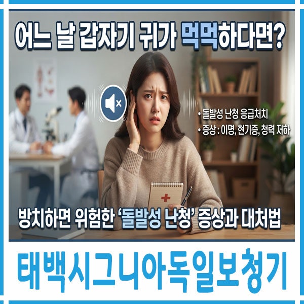 어느 날 갑자기 귀가 먹먹하다면? 방치하면 위험한 '돌발성 난청' 증상과 대처법