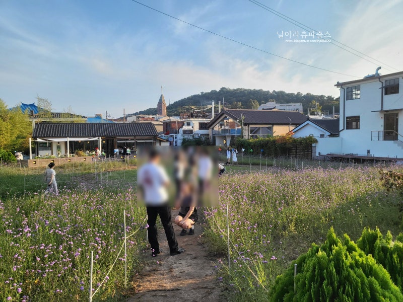 수원 가볼만한곳 행리단길 수원전통문화관 성곽길 꽃구경