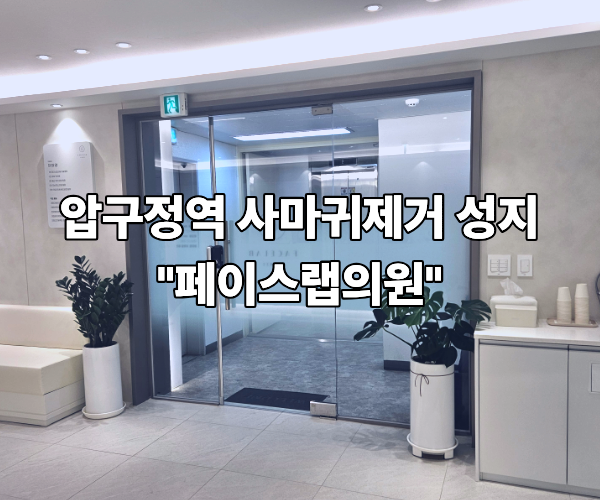 [강남] 압구정역 편평사마귀 제거 성지 페이스랩 내돈내산 후기