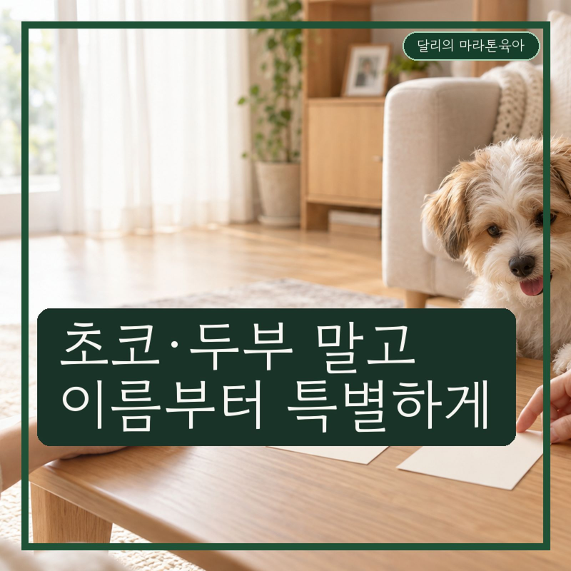 또 초코 또 두부? 우리 집 막내는 순우리말 이름 어때요