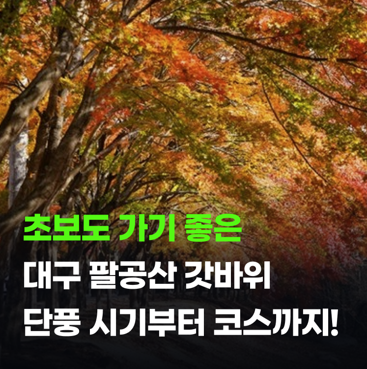 팔공산 갓바위 등산코스 추천 단풍 시기 초보도 다녀오기 좋아요