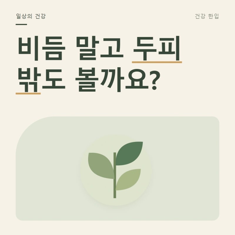 샴푸를 바꿔도 두피가 가렵다면, 비듬과 함께 볼 변화