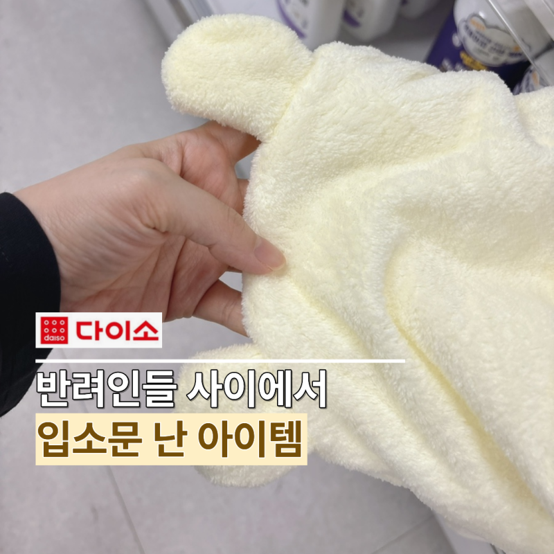 "이래서 다이소부터 가나 봐요..." 가격 보고 장바구니에 바로 담은 가성비템 TOP3