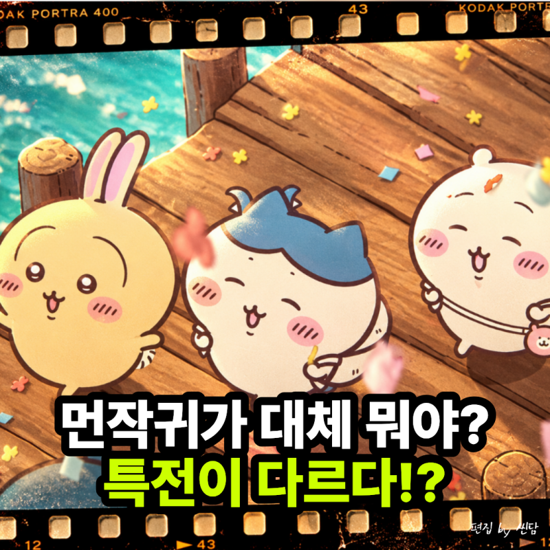 "먼작귀가 뭔데 이렇게 인기야?" 치이카와 처음 보는 사람도 팬도 알아둘 극장별 특전