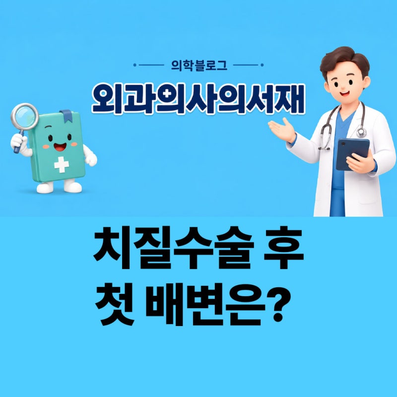 치질수술 후 음식, 첫 배변이 걱정된다면 이렇게 드세요