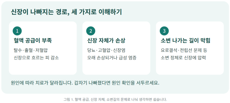 신장 수치가 안 좋을 때 무엇을 먹고, 어떤 약을 조심해야 할까요?