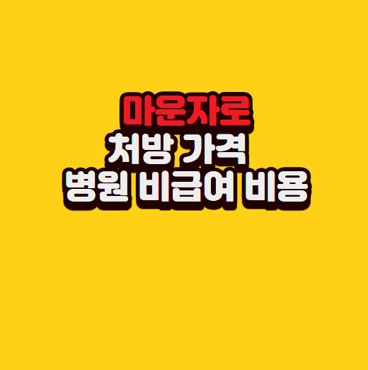 마운자로 처방 가격 및 병원 비급여 비용 실구매가 총정리