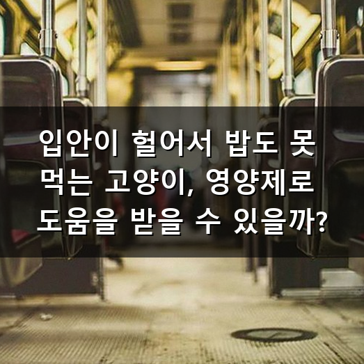 고양이 구내염 영양제 언제부터 챙겨야 할까