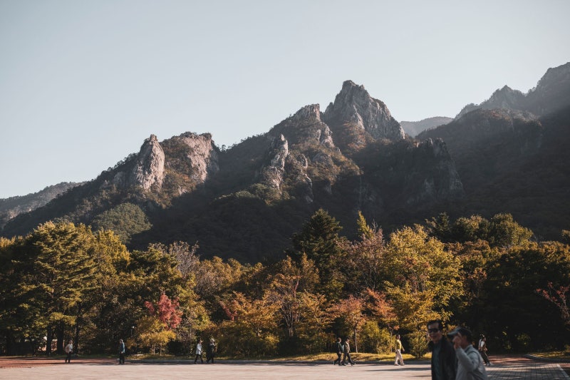 2026 설악산 단풍 시기, 흘림골 예약 놓치지 마세요