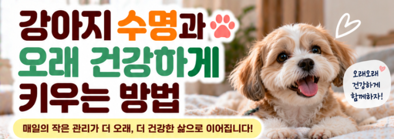 강아지 수명과 오래 건강하게 키우는 방법