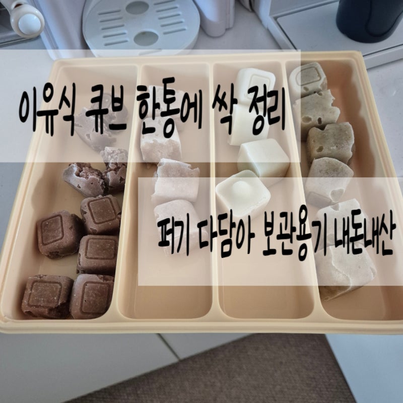 [육아] 퍼기 큐브 다담아 보관용기 내돈내산｜이유식 냉동실 정리 진짜 신세계 아이템