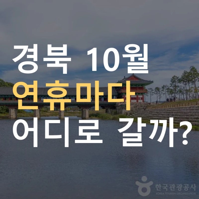 경북 10월 축제 일정 영주 풍기인삼축제 10월 3일 시작 ｜ 무섬외나무다리축제·신라문화제·....
