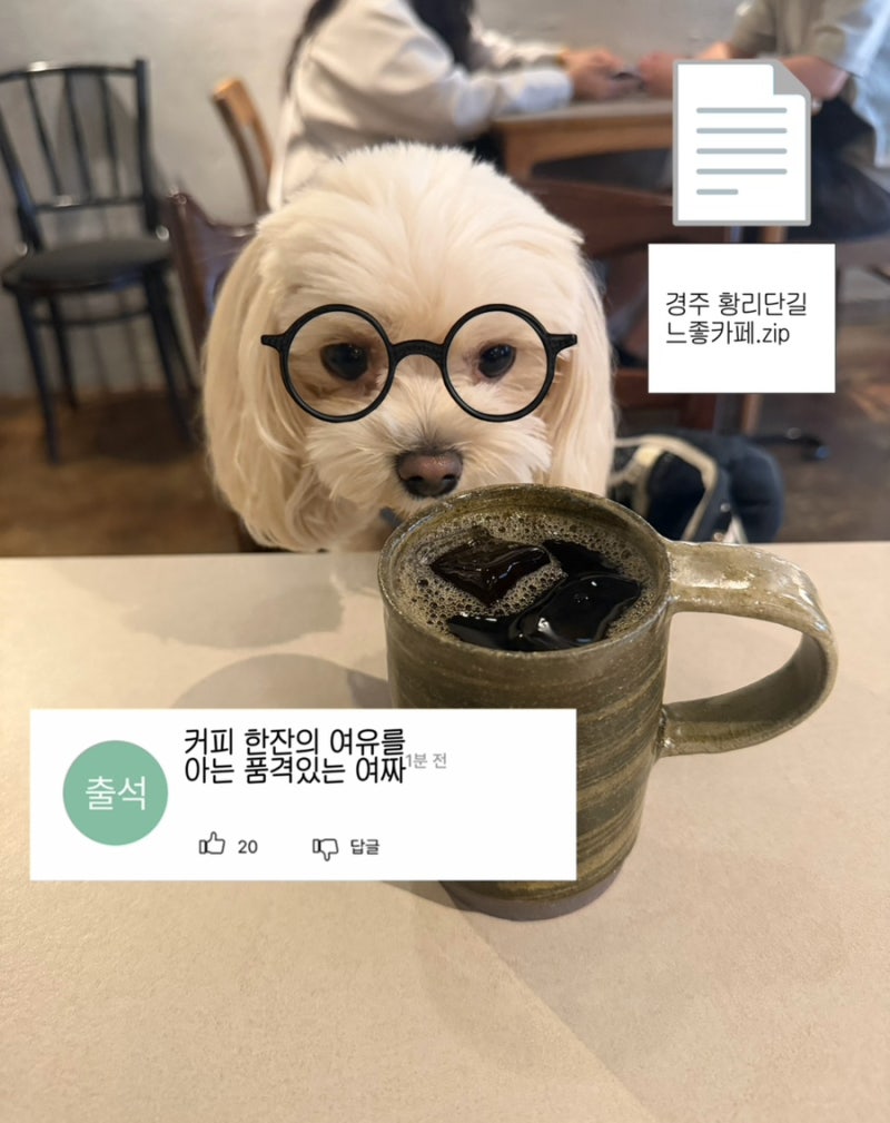 경주 황리단길 애견동반 카페 가배향주