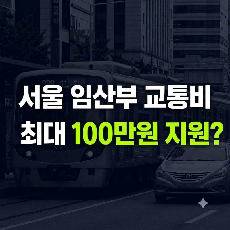 서울 임산부 교통비 지원?신청 방법·사용처
