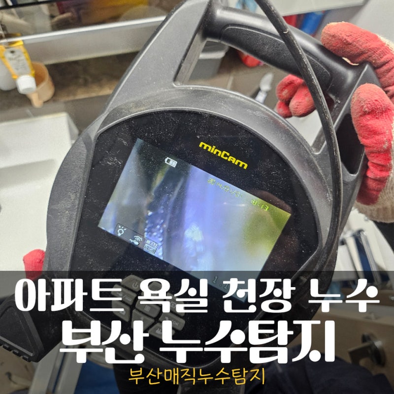 [부산 누수탐지] 사직스위첸 아파트 욕실 천장 누수 | 배관 내시경으로 크랙 확인
