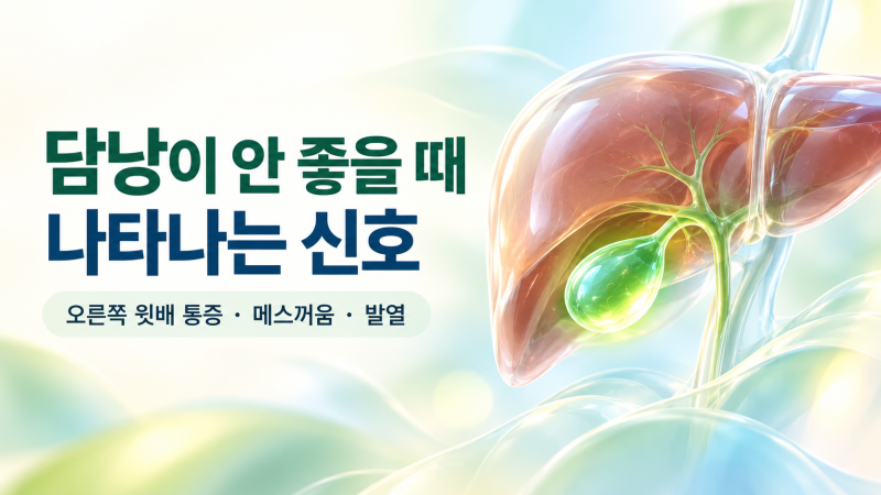 담낭이 안 좋을 때 나타나는 신호는? 오른쪽 윗배 통증과 담석증 증상