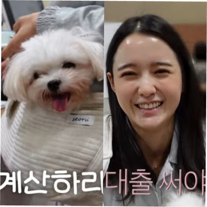 육아 탈출? 남보라, 남대문 시장 쇼핑 중 형님과 뜻밖의 만남