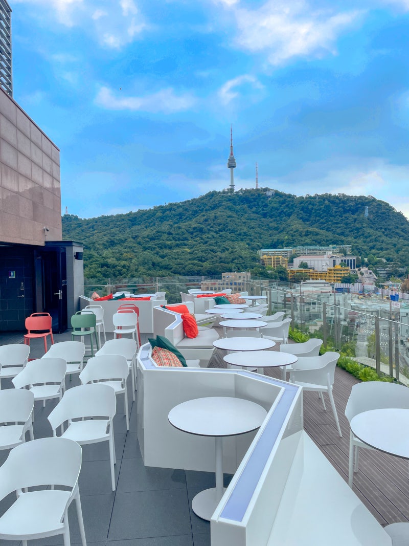 서울 호텔 웨딩 뷔페 6만 5천 원, 대관비 80만 원 | 이비스 스타일 명동 21층 루프탑 스몰웨딩