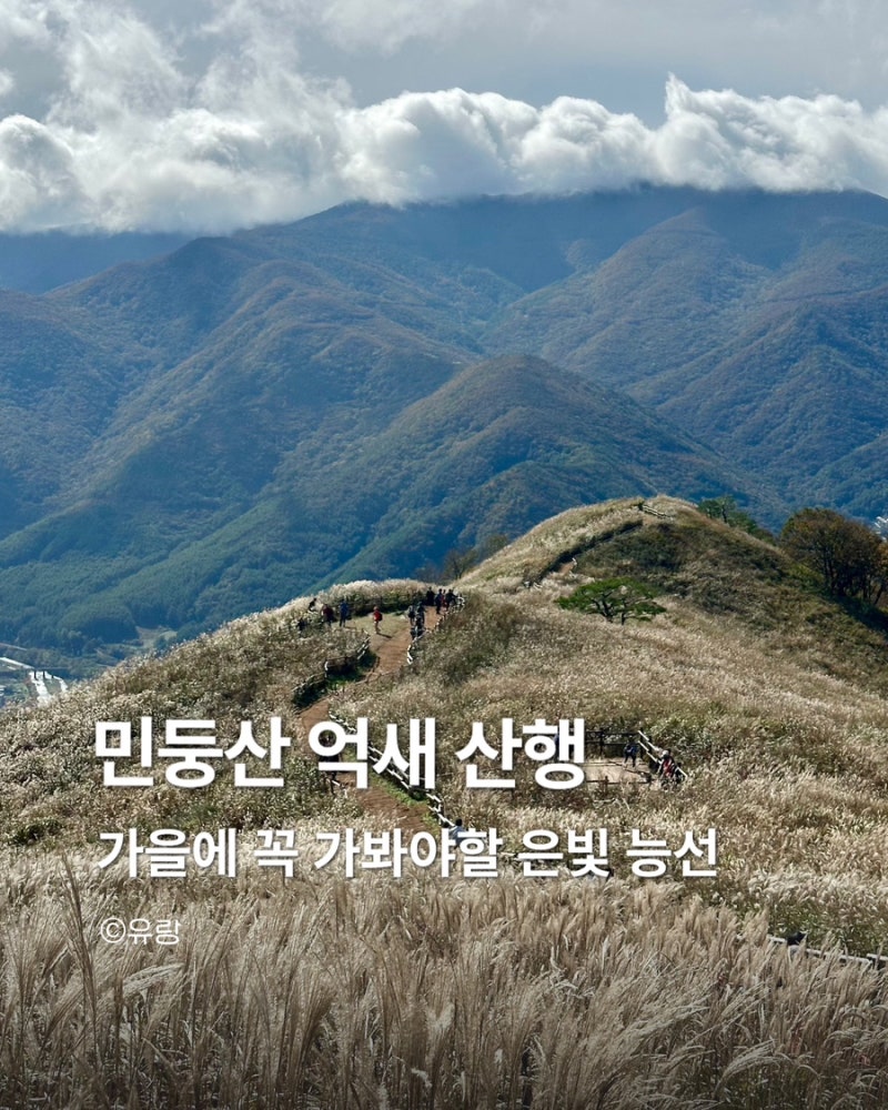 10월 민둥산 억새 등산후기 | 최단코스 등산초보는 조심하세요!