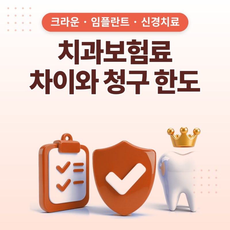 치과보험료, 치과보험청구 전에 플랜비보험에서 확인한 보장 한도 (크라운, 임플란트, 신경....