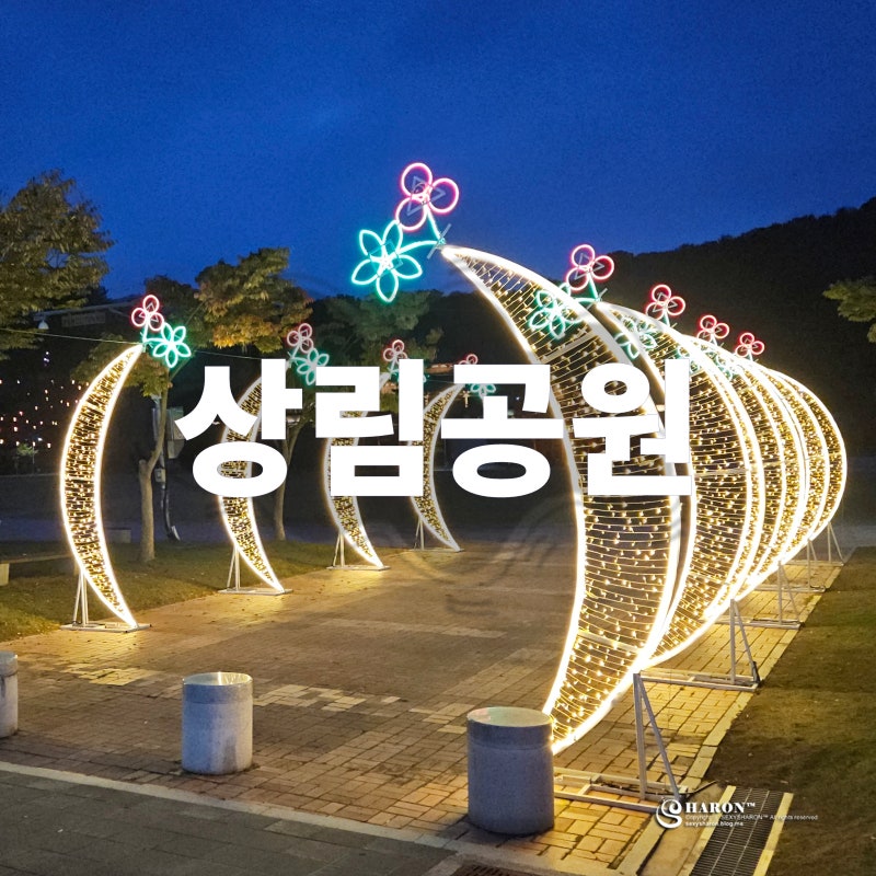 함양 상림공원 가을여행 야경과 함양산삼축제 정보