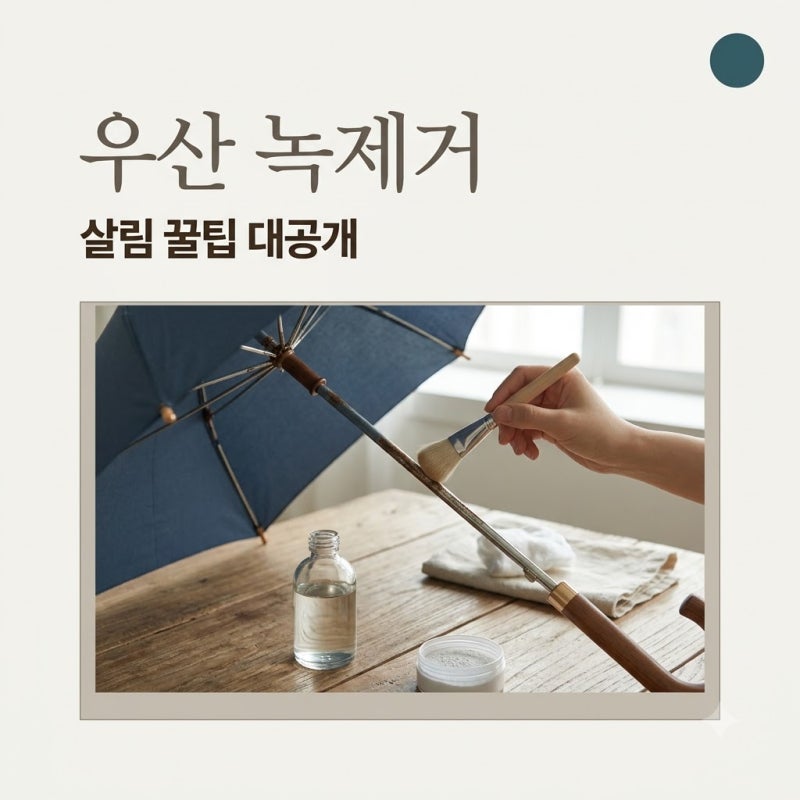 버리려던 우산에 케첩 발랐더니.. 우산 녹제거 5가지 비법